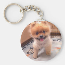 Chiot Porte-clef