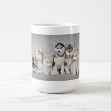 Chiots enroués tasse