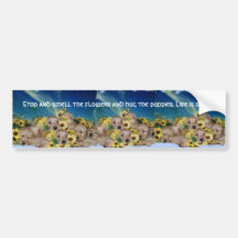 CHIOTS ET FLEURS (CHIENS D'ARRÊT D'OR) AUTOCOLLANTS POUR VOITURE