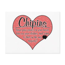 Chipin Paw Prints Dog Humour Postcards