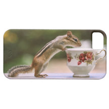 Chipmunk and China Tea Cup iPhone 5 Case