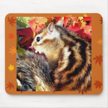 Chipmunk , Autumn (5)　photo マウスパッド