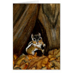 Chipmunk Blank Greeting Card