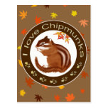 Chipmunk_Circle　(photo) はがき