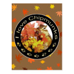 Chipmunk_Circle　(photo) ポストカード