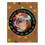 Chipmunk_Circle　(photo) ポストカード
