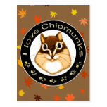 Chipmunk_Circle　(photo) ポストカード