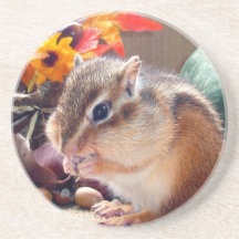 Chipmunk Coasters
