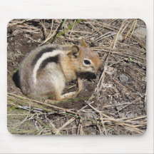 Chipmunk Mouse Pads