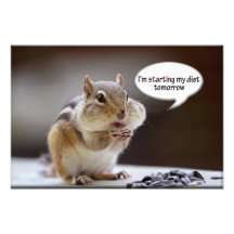 Chipmunk on a Diet Photo
