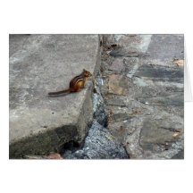 Chipmunk on Step-Blank Card