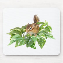Chipmunk photo　(25) マウスパッド