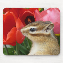 Chipmunk photo　(30) マウスパッド