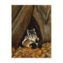 Chipmunk Postcard
