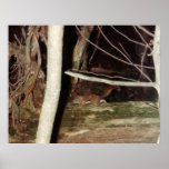 Chipmunk Poster
