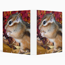 Chipmunk , Squirrel . (llustration , photo) Vinyl Binders