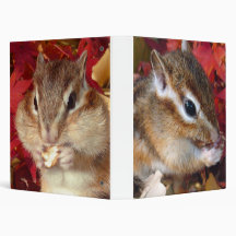 Chipmunk , Squirrel . (llustration , photo) Binder
