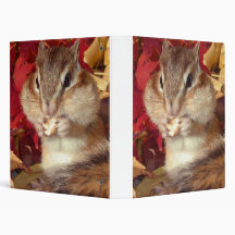 Chipmunk , Squirrel . (llustration , photo) Binder