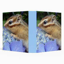 Chipmunk , Squirrel . (llustration , photo) Binder