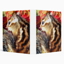 Chipmunk , Squirrel . (llustration , photo) Binder