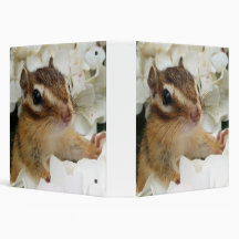 Chipmunk , Squirrel . (llustration , photo) Binders