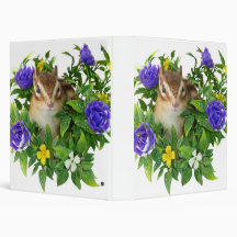 Chipmunk , Squirrel . (llustration , photo) Binders