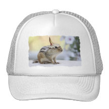 Chipmunk Wearing Flower Party Hat