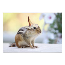 Chipmunk Wearing Flower Party Hat Photographic Print