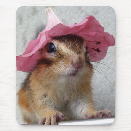 Chipmunk wears flower hat マウスパッド