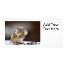 Chipmunk with Cheeks Full Photo Customized Photo Card