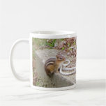 Chippie The Chipmunk Investigates A Rope Mug