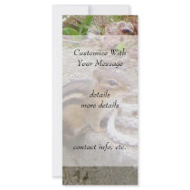 Chippie The Chipmunk Investigates A Rope Rack Cards