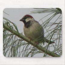 Chipping Sparrow Mouse Mat