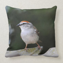 Chipping Sparrow Throw Pillows
