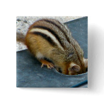 Chippy Pinback Button