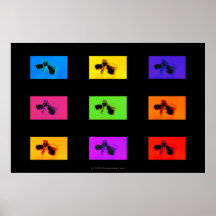 Chiropractic Poster: Lumbar Vertebrae Funk