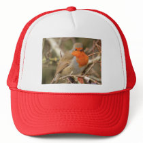 Chirpy Robin Hats