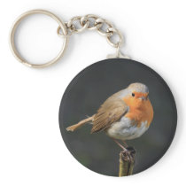 Chirpy Robin Keychains