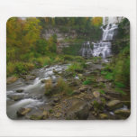 Chittenango Falls