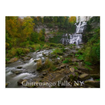 Chittenango Falls  Postcard
