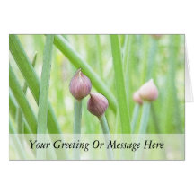 Chive Flower Buds Greeting Cards