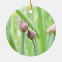 Chive Flower Buds Ornament