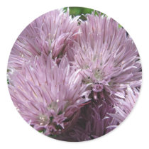 Chive flowers ~ sticker