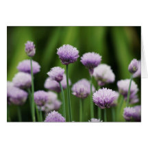 Chives Bouquet Greeting Card