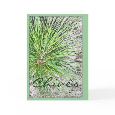 CHIVES CARDS by dequilla