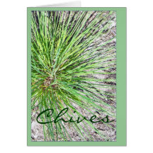CHIVES CARDS