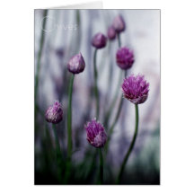 Chives Growing Wild Cards