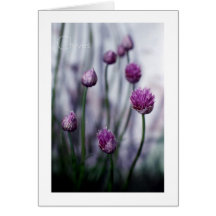 Chives in Bloom Card