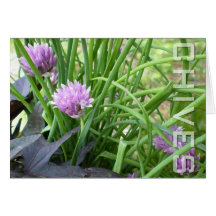 Chives, Notecard