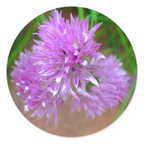 Chives with Purple Flower Blossoms Sticker